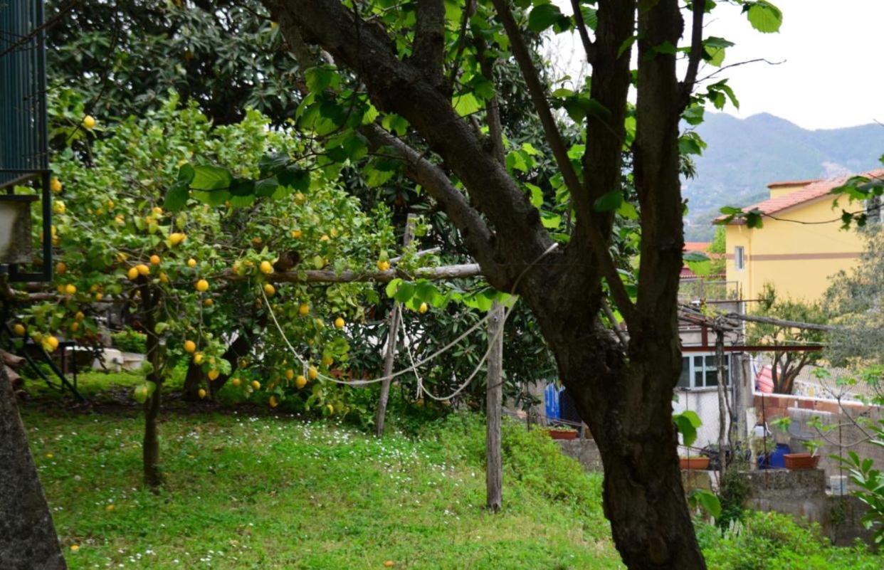Casaventre Apartment วิเอตริ ภายนอก รูปภาพ